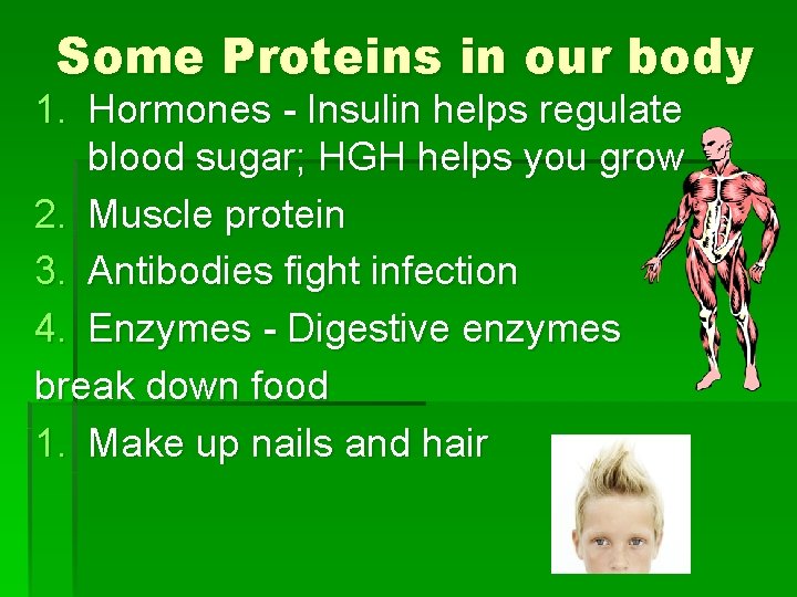 Some Proteins in our body 1. Hormones - Insulin helps regulate blood sugar; HGH