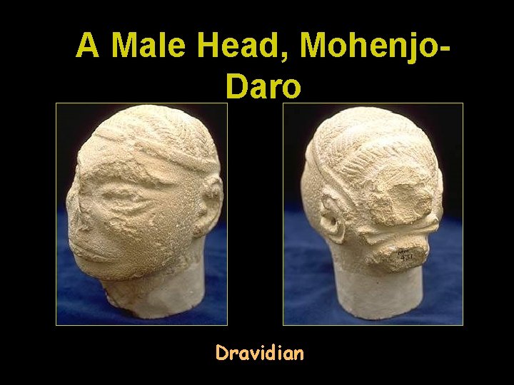 A Male Head, Mohenjo. Daro Dravidian 