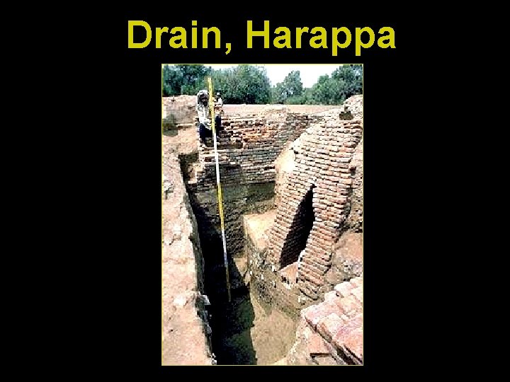 Drain, Harappa 