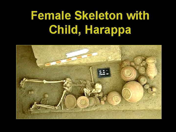 Female Skeleton with Child, Harappa 