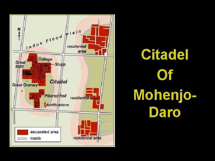 Citadel Of Mohenjo. Daro 