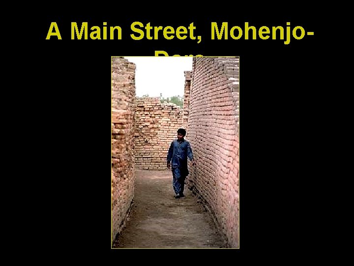 A Main Street, Mohenjo. Daro 