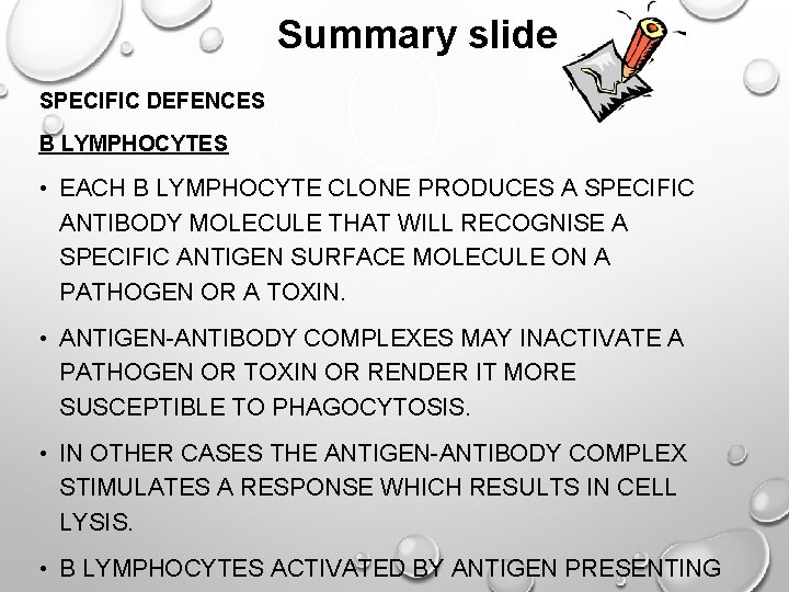 Summary slide SPECIFIC DEFENCES B LYMPHOCYTES • EACH B LYMPHOCYTE CLONE PRODUCES A SPECIFIC