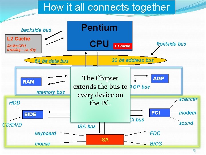 How it all connects together backside bus L 2 Cache Pentium CPU (in the