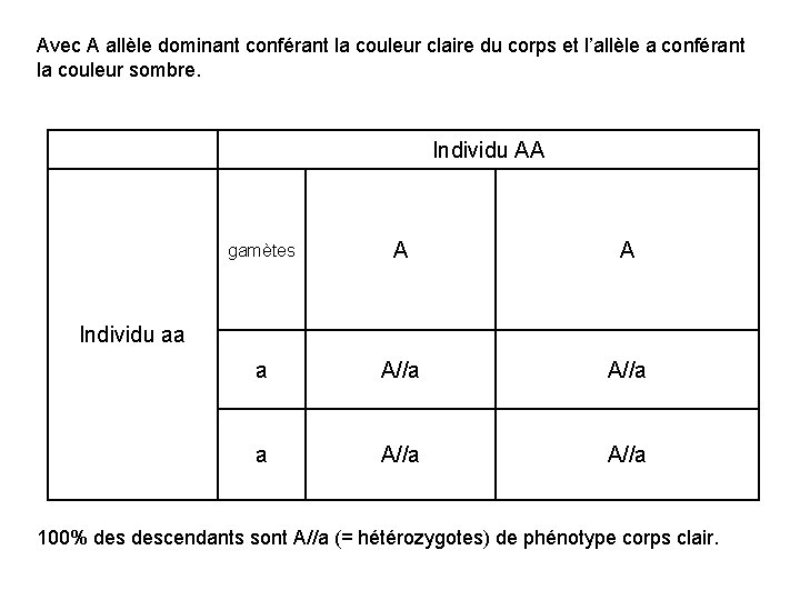 Avec A allèle dominant conférant la couleur claire du corps et l’allèle a conférant