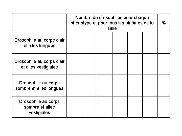 Nombre de drosophiles pour chaque phénotype et pour tous les binômes de la salle