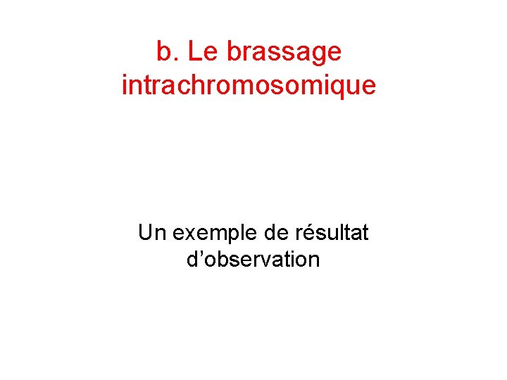 b. Le brassage intrachromosomique Un exemple de résultat d’observation 