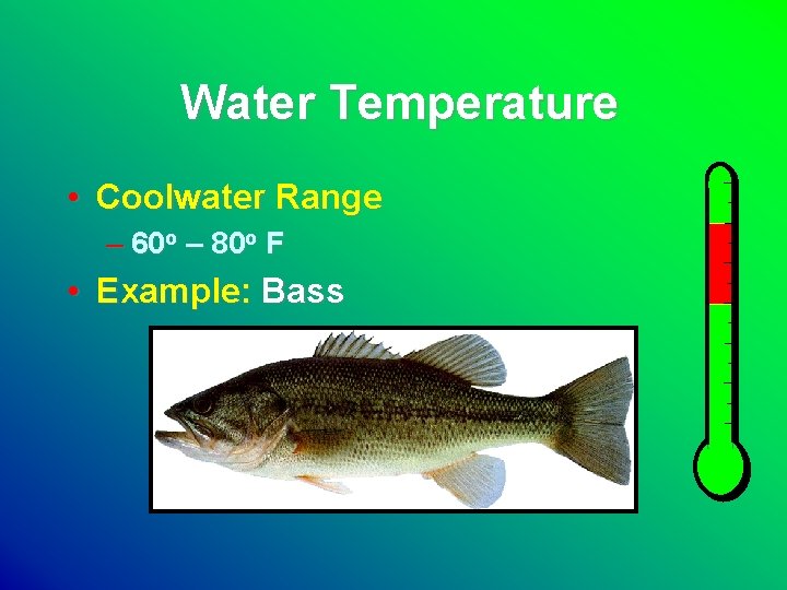 Water Temperature • Coolwater Range – 60 o – 80 o F • Example: