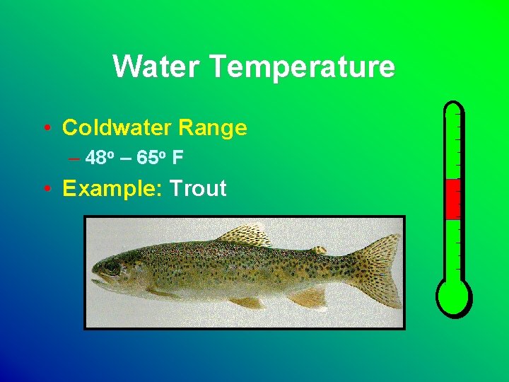 Water Temperature • Coldwater Range – 48 o – 65 o F • Example: