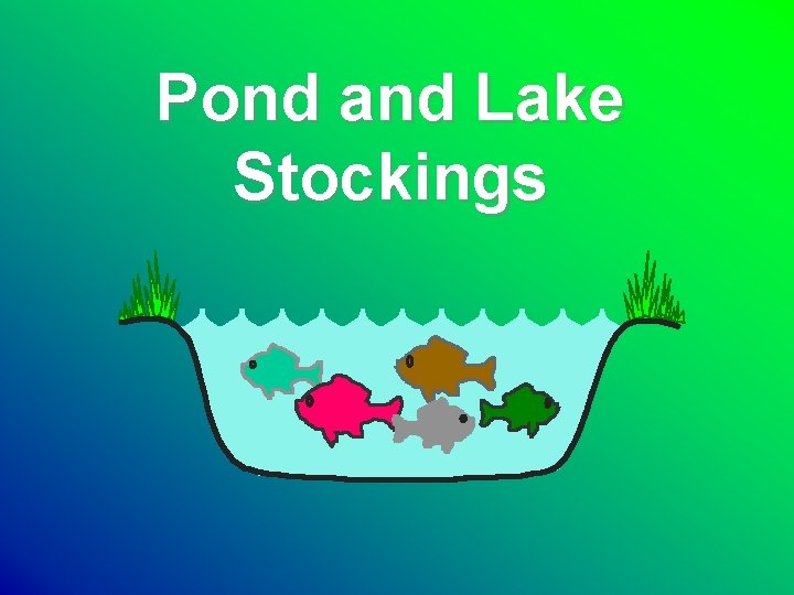 Pond and Lake Stockings 