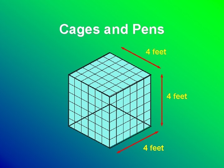 Cages and Pens 4 feet 