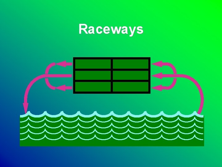Raceways 