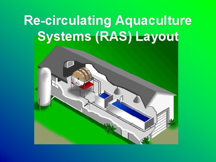 Re-circulating Aquaculture Systems (RAS) Layout 