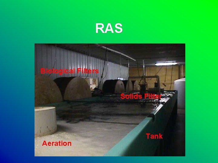 RAS Biological Filters Solids Filter Aeration Tank 