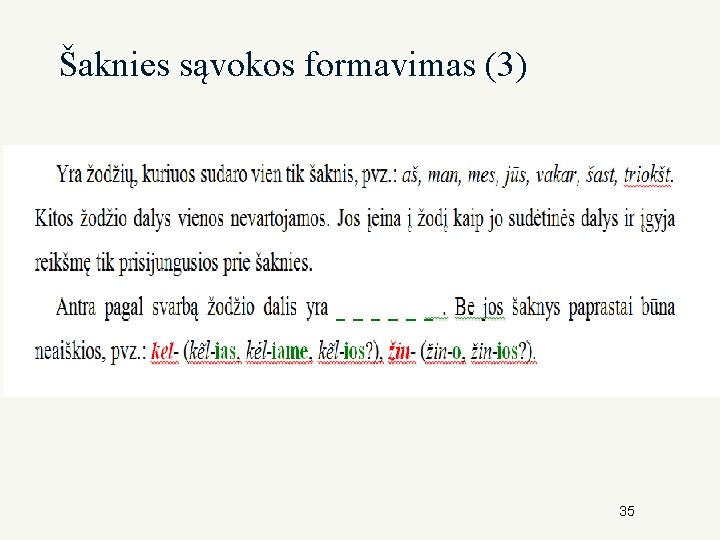 Šaknies sąvokos formavimas (3) 35 