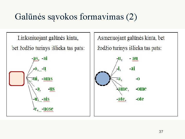 Galūnės sąvokos formavimas (2) 37 