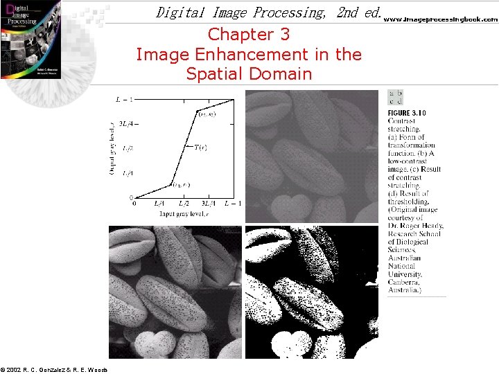 Digital Image Processing, 2 nd ed. www. imageprocessingbook. com Chapter 3 Image Enhancement in