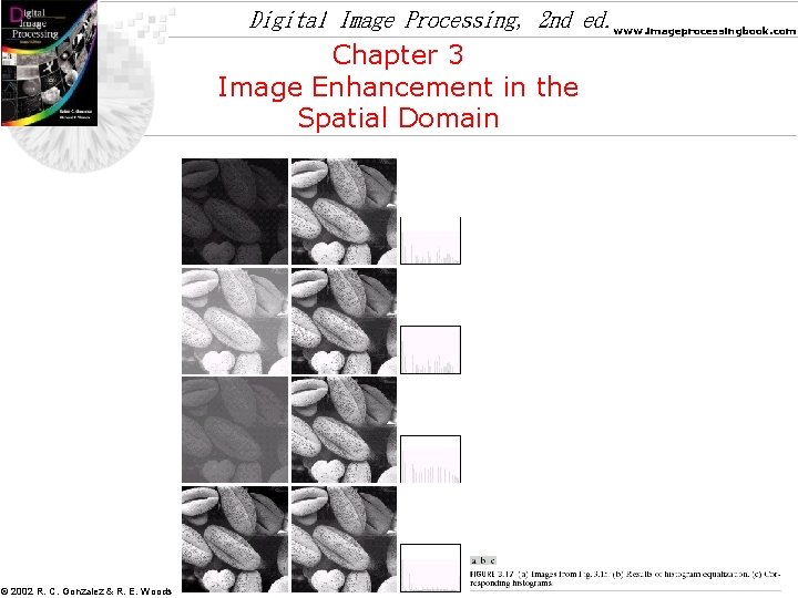 Digital Image Processing, 2 nd ed. www. imageprocessingbook. com Chapter 3 Image Enhancement in