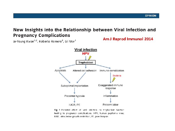 Am J Reprod Immunol 2014 