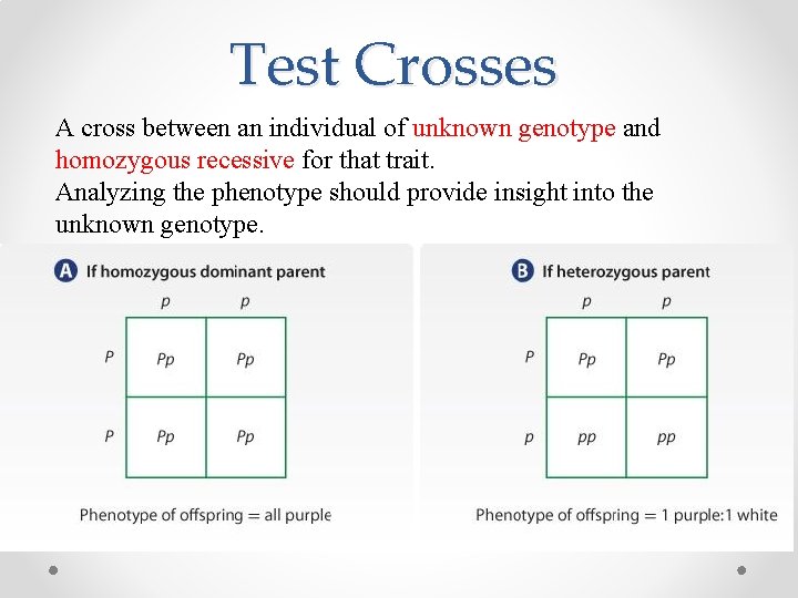 Test Crosses A cross between an individual of unknown genotype and homozygous recessive for