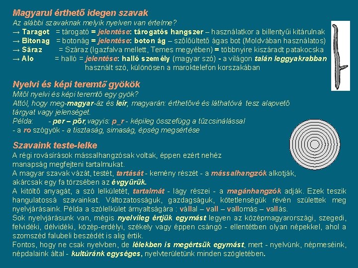 Magyarul érthető idegen szavak Az alábbi szavaknak melyik nyelven van értelme? → Taragot = Magyarul érthető idegen szavak Az alábbi szavaknak melyik nyelven van értelme? → Taragot =