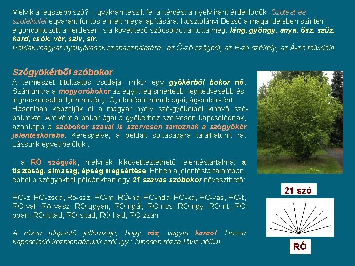 Melyik a legszebb szó? – gyakran teszik fel a kérdést a nyelv iránt érdeklődők. Melyik a legszebb szó? – gyakran teszik fel a kérdést a nyelv iránt érdeklődők.
