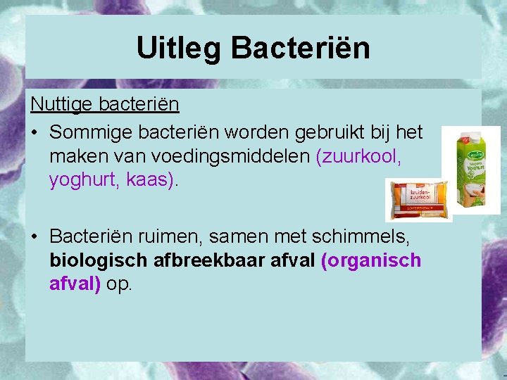 Uitleg Bacteriën Nuttige bacteriën • Sommige bacteriën worden gebruikt bij het maken van voedingsmiddelen