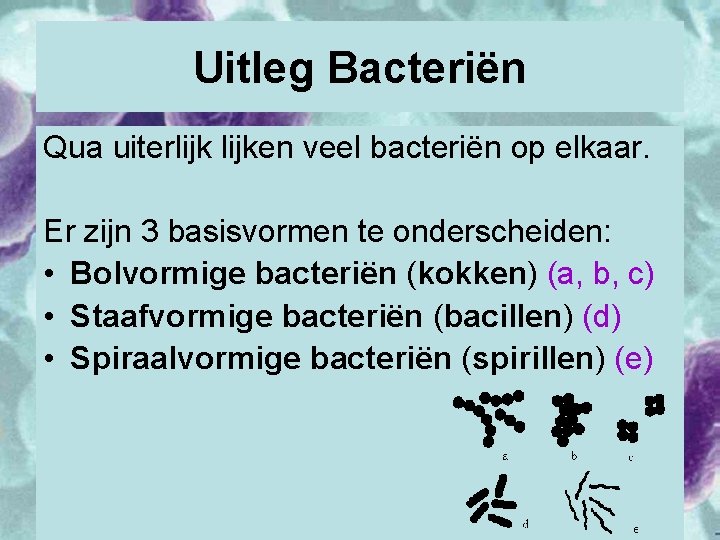 Uitleg Bacteriën Qua uiterlijken veel bacteriën op elkaar. Er zijn 3 basisvormen te onderscheiden: