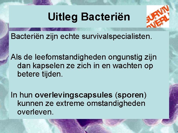 Uitleg Bacteriën zijn echte survivalspecialisten. Als de leefomstandigheden ongunstig zijn dan kapselen ze zich