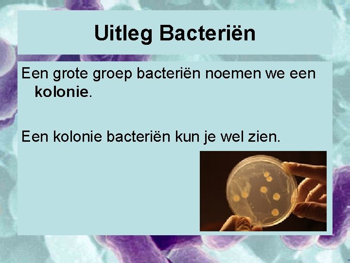 Uitleg Bacteriën Een grote groep bacteriën noemen we een kolonie. Een kolonie bacteriën kun