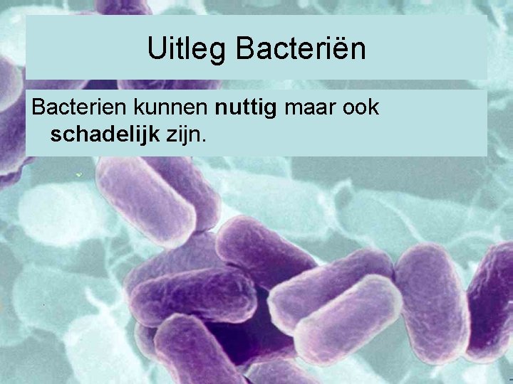 Uitleg Bacteriën Bacterien kunnen nuttig maar ook schadelijk zijn. 