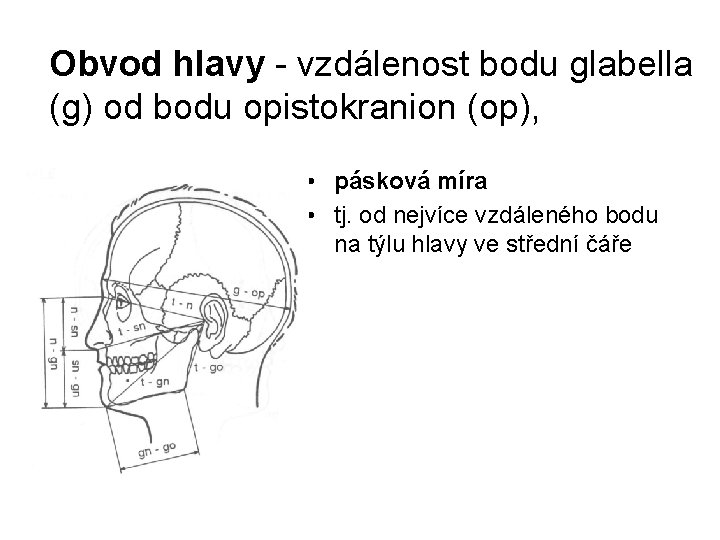 Obvod hlavy - vzdálenost bodu glabella (g) od bodu opistokranion (op), • pásková míra