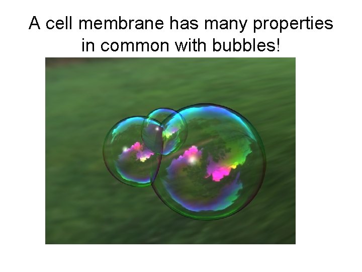 A cell membrane has many properties in common with bubbles! A cell membrane has many properties in common with bubbles!