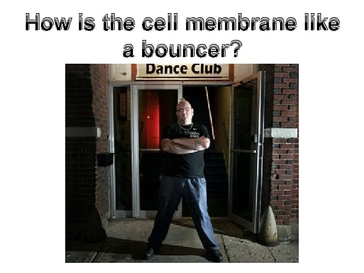 How is the cell membrane like a bouncer? How is the cell membrane like a bouncer?