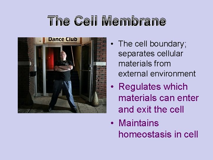 The Cell Membrane • The cell boundary; separates cellular materials from external environment • The Cell Membrane • The cell boundary; separates cellular materials from external environment •
