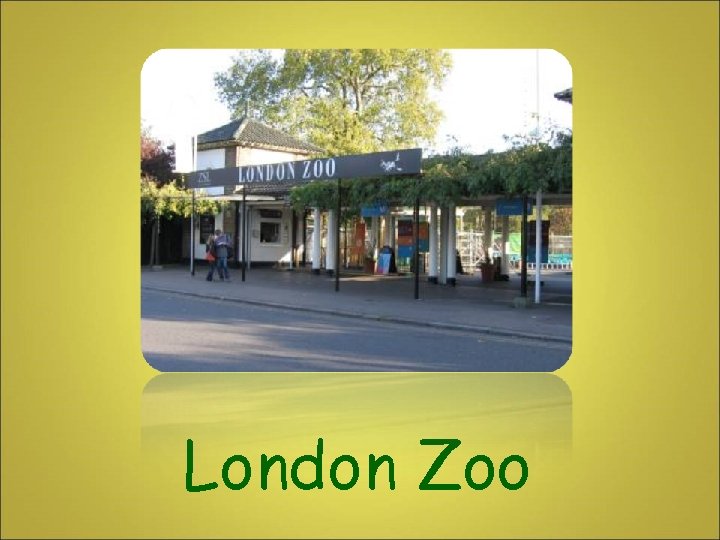 London Zoo 