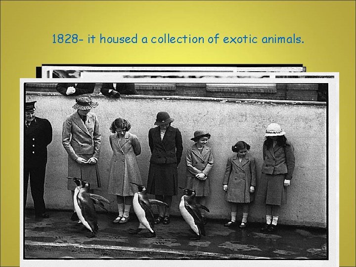 1828 - it housed a collection of exotic animals. 