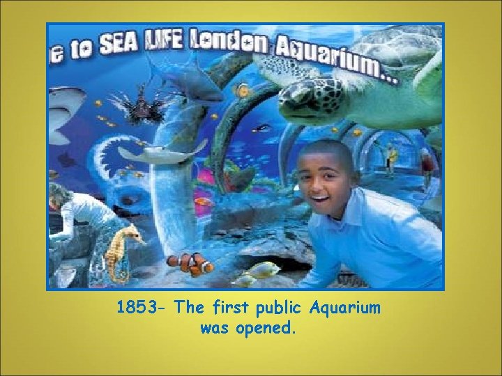 1853 - The first public Aquarium was opened. 