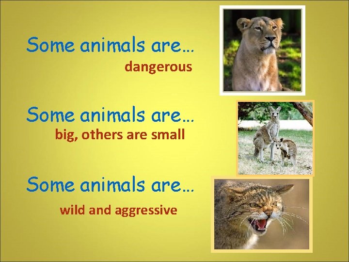 Some animals are… dangerous Some animals are… big, others are small Some animals are…