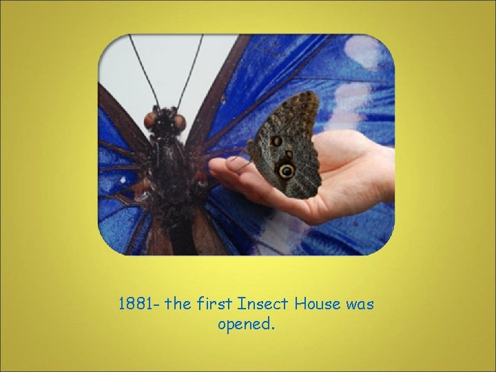 1881 - the first Insect House was opened. 