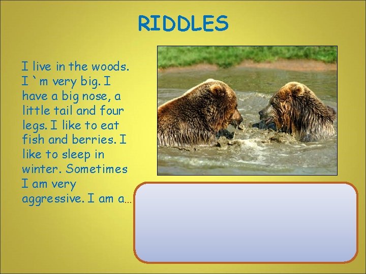 RIDDLES I live in the woods. I `m very big. I have a big