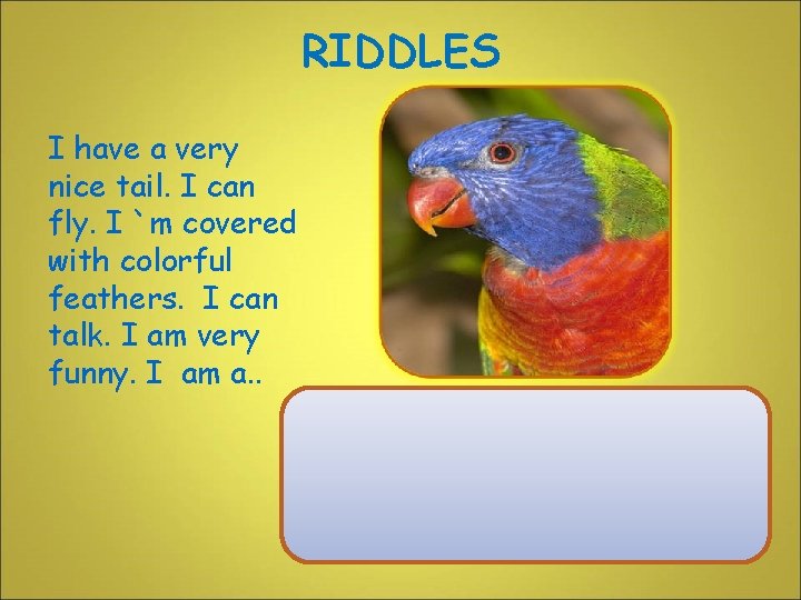 RIDDLES I have a very nice tail. I can fly. I `m covered with