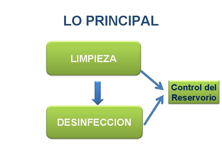 LO PRINCIPAL LIMPIEZA Control del Reservorio DESINFECCION 
