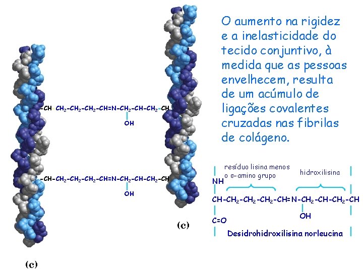 -CH-CH 2 -CH 2 -CH=N-CH 2 -CH-CH 2 -CH OH O aumento na rigidez