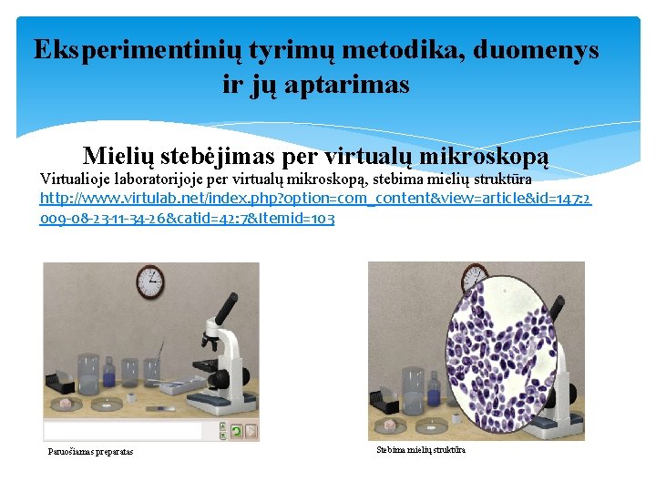 Eksperimentinių tyrimų metodika, duomenys ir jų aptarimas Mielių stebėjimas per virtualų mikroskopą Virtualioje laboratorijoje