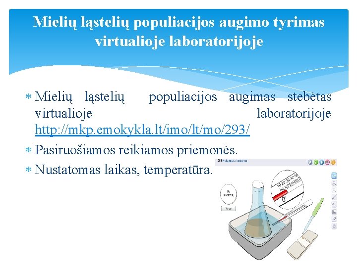 Mielių ląstelių populiacijos augimo tyrimas virtualioje laboratorijoje Mielių ląstelių populiacijos augimas stebėtas virtualioje laboratorijoje