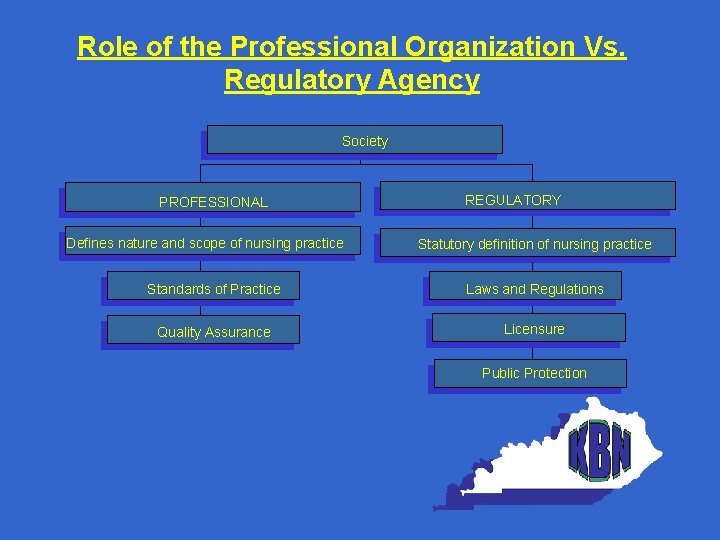 Role of the Professional Organization Vs. Regulatory Agency Society PROFESSIONAL Defines nature and scope