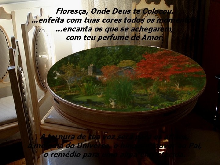 Floresça, Onde Deus te Colocou. . enfeita com tuas cores todos os momentos. .