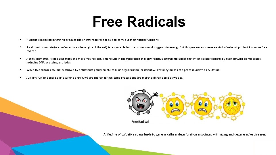 Free Radicals • Humans depend on oxygen to produce the energy required for cells