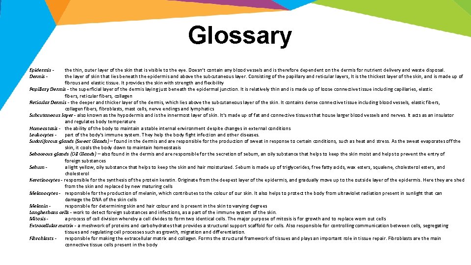 Glossary Epidermis Dermis - the thin, outer layer of the skin that is visible